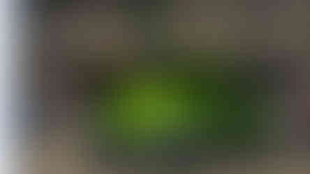 15.º Encontro do Carburador, Arruda dos Vinhos