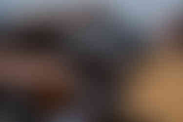 Festival Clássicos Benedita 2025