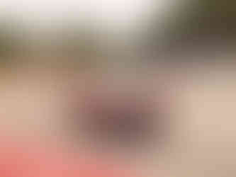 Passeio de verão VMC Aveiro