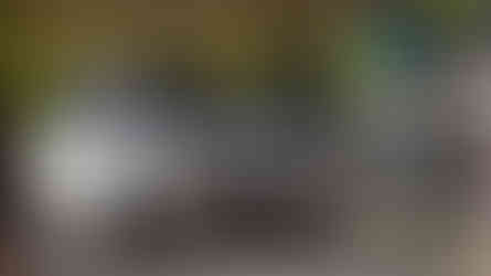 Automóveis clássicos invadem Benfica na Praça do Fonte Nova