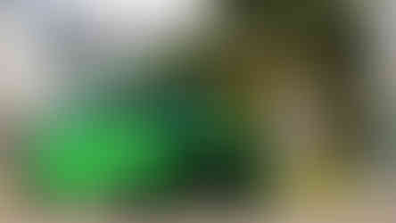 Famílias e entusiastas reunidos junto a automóveis clássicos no parque, celebrando o Dia da Mulher em ambiente festivo