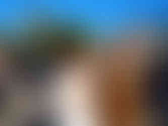 Distinguished Gentleman's Drive regressa a Portugal