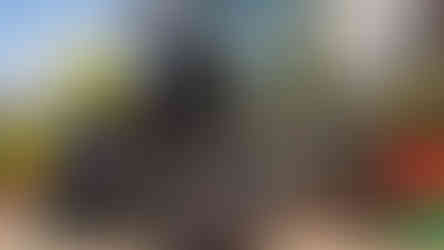 Mais de 100 veículos celebraram encontro que uniu gerações e apaixonados por clássicos