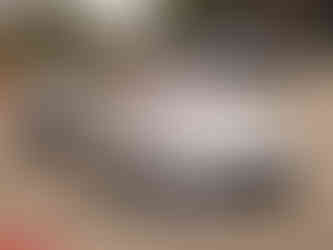 Passeio de verão VMC Aveiro