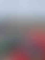 Encontro de Clássicos na Lagoa de Albufeira