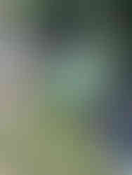 Clássicos Portugal 2 Encontro vw Aircooled Käfer Galicia 2025