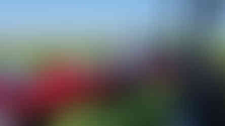 1º Event ACF The Day Of Elegance Day