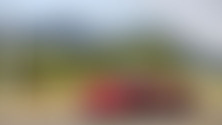 Só Podemos Estar Apaixonados! Passeio Clássicos Portugal de Sintra à Praia das Maçãs 2026