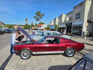 1º Encontro Verdizelas Clássicos