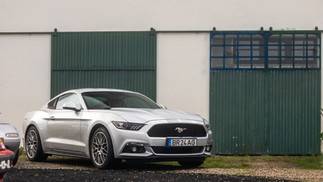 Clássicos, The Rotten Soul