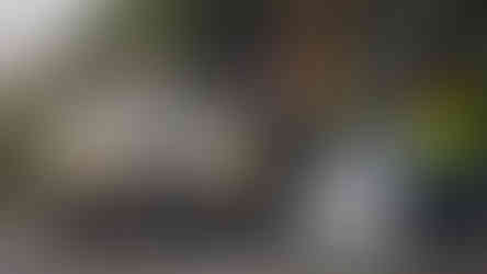 Gentleman's drive 2025