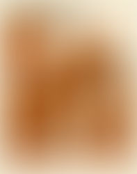 Magusto Clássicos Portugal celebra tradição e paixão automóvel