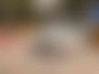 Passeio de verão VMC Aveiro