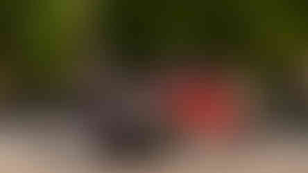 Clássicos Portugal no Campo Pequeno, 1º edição 2026