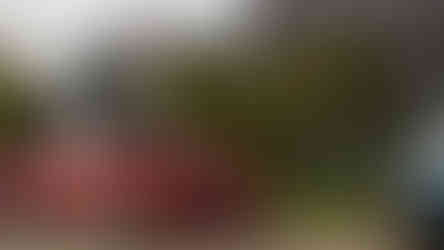 Encontro Clássicos Portugal, novembro 2025