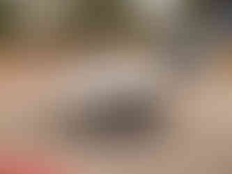 Passeio de verão VMC Aveiro