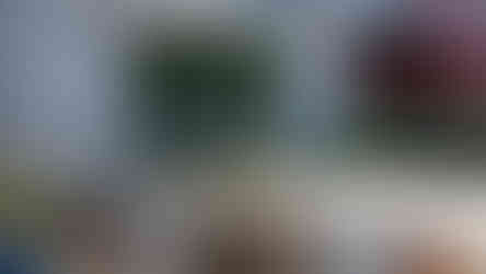 Mais de 100 veículos celebraram encontro que uniu gerações e apaixonados por clássicos