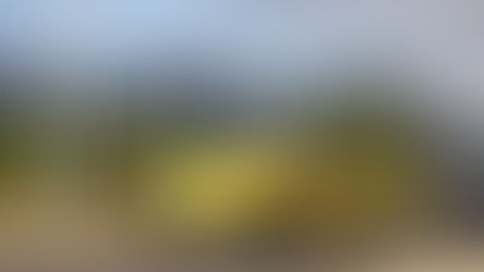 Só Podemos Estar Apaixonados! Passeio Clássicos Portugal de Sintra à Praia das Maçãs 2026