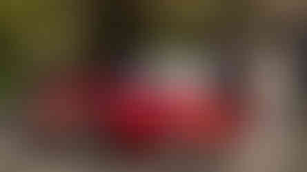 Automóveis clássicos invadem Benfica na Praça do Fonte Nova