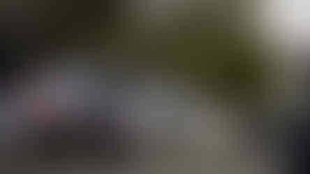 Encontro de automóveis, German Kaffee