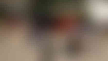 Famílias e entusiastas reunidos junto a automóveis clássicos no parque, celebrando o Dia da Mulher em ambiente festivo