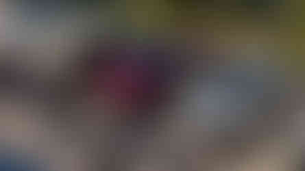 Mais de 100 veículos celebraram encontro que uniu gerações e apaixonados por clássicos