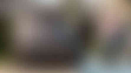 Famílias e entusiastas reunidos junto a automóveis clássicos no parque, celebrando o Dia da Mulher em ambiente festivo