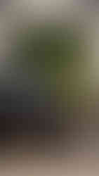 Encontro Clássicos Portugal, novembro 2025