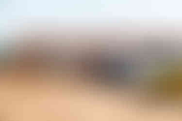 Festival Clássicos Benedita 2025