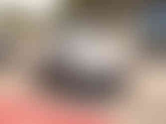 Passeio de verão VMC Aveiro