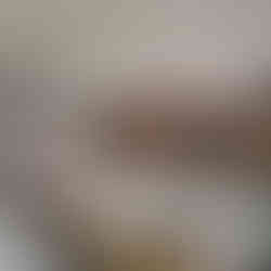 Vinho Clássicos Portugal