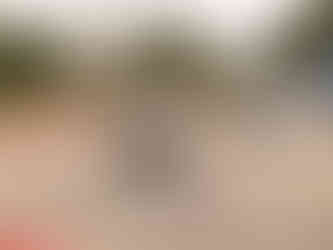 Passeio de verão VMC Aveiro