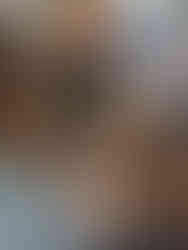 Distinguished Gentleman's Drive regressa a Portugal