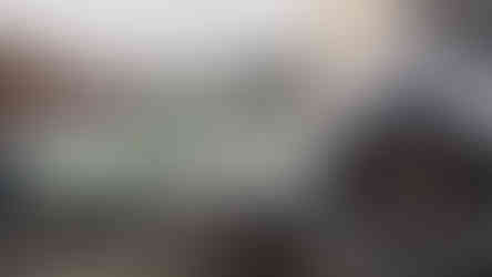 Clássicos, The Rotten Soul