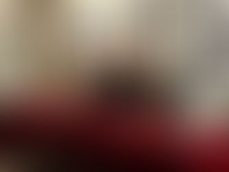 Lançamento de livro