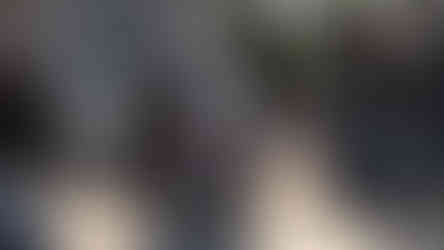 Mais de 100 veículos celebraram encontro que uniu gerações e apaixonados por clássicos