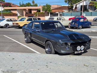 1º Encontro Verdizelas Clássicos