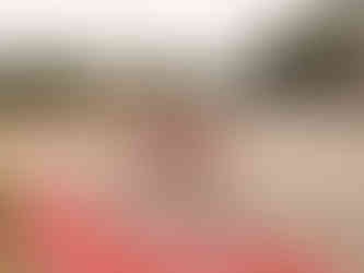 Passeio de verão VMC Aveiro