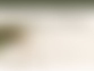 Gloriadcassell.com