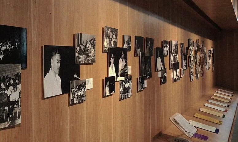 Historical photos displayed on wooden walls about The Shelves