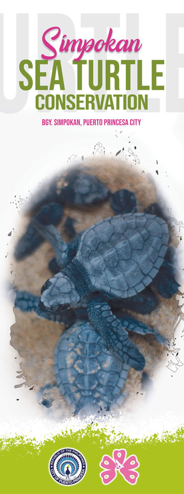 CBST LAMP POST 2 -sea turtle.jpg