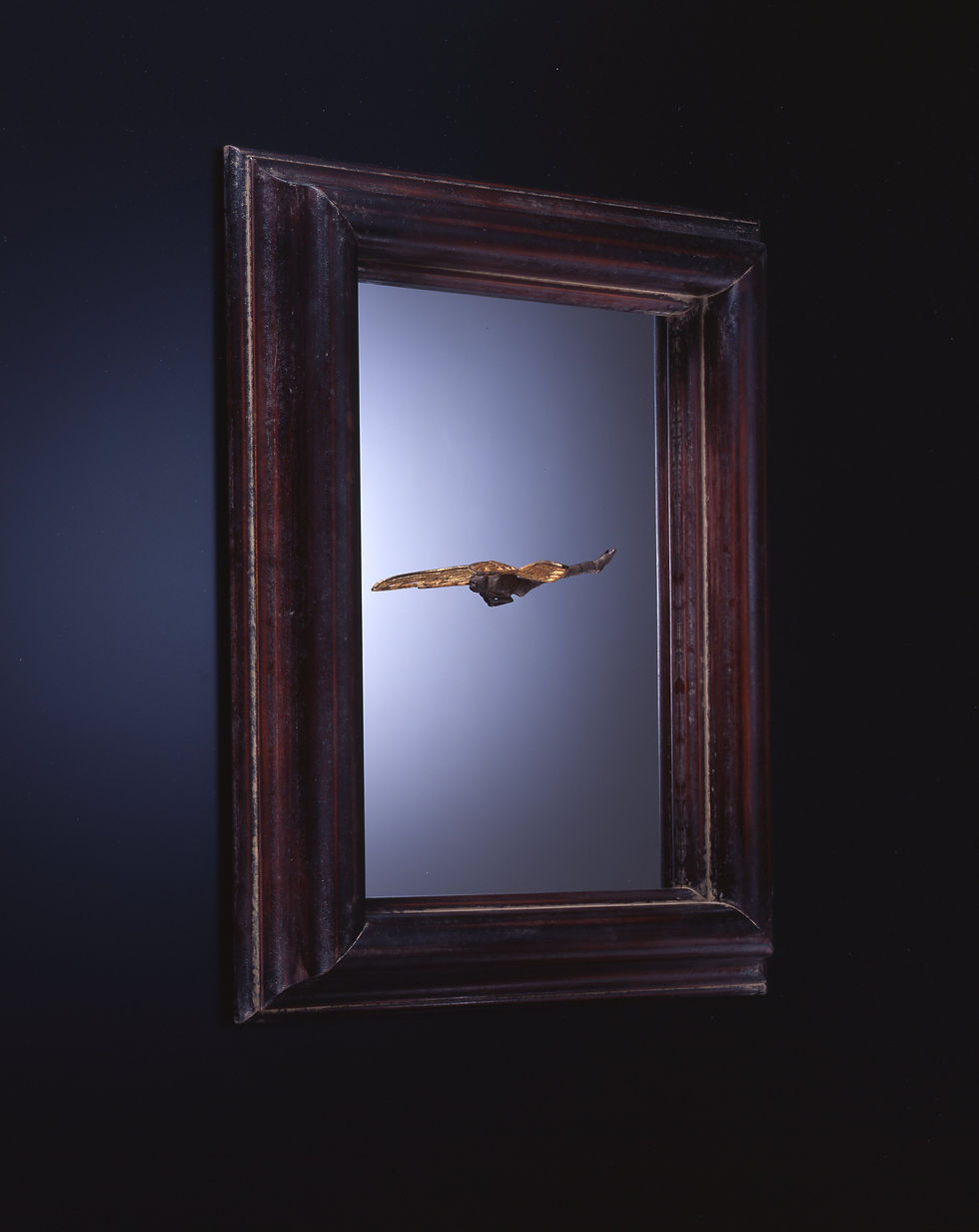 Glorious images (Type-B)