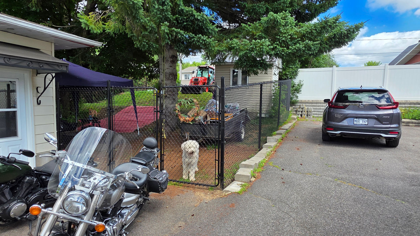 Clôture de jardin sécurisée avec portail – Installation adaptée aux animaux