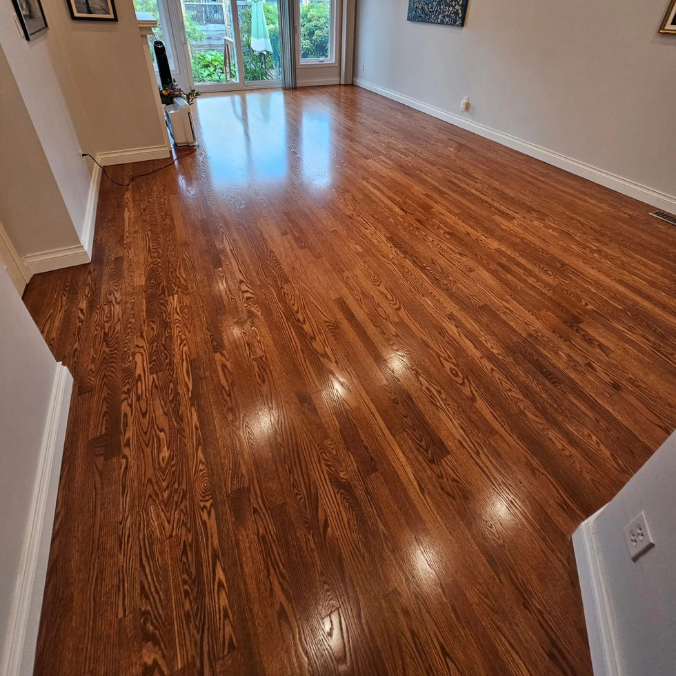 WhatsApp Image 2024-11-27 at 08.07.47 (5).jpeg