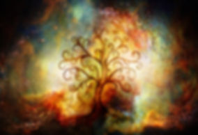 Paid tree of life pic.jpeg
