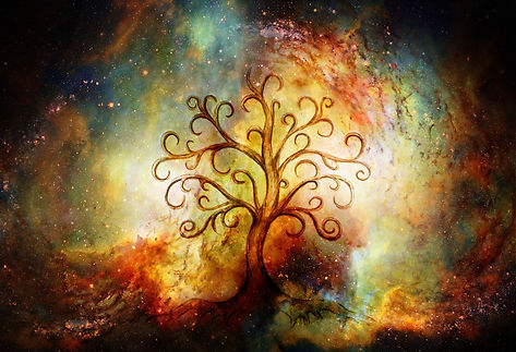 Paid tree of life pic.jpeg