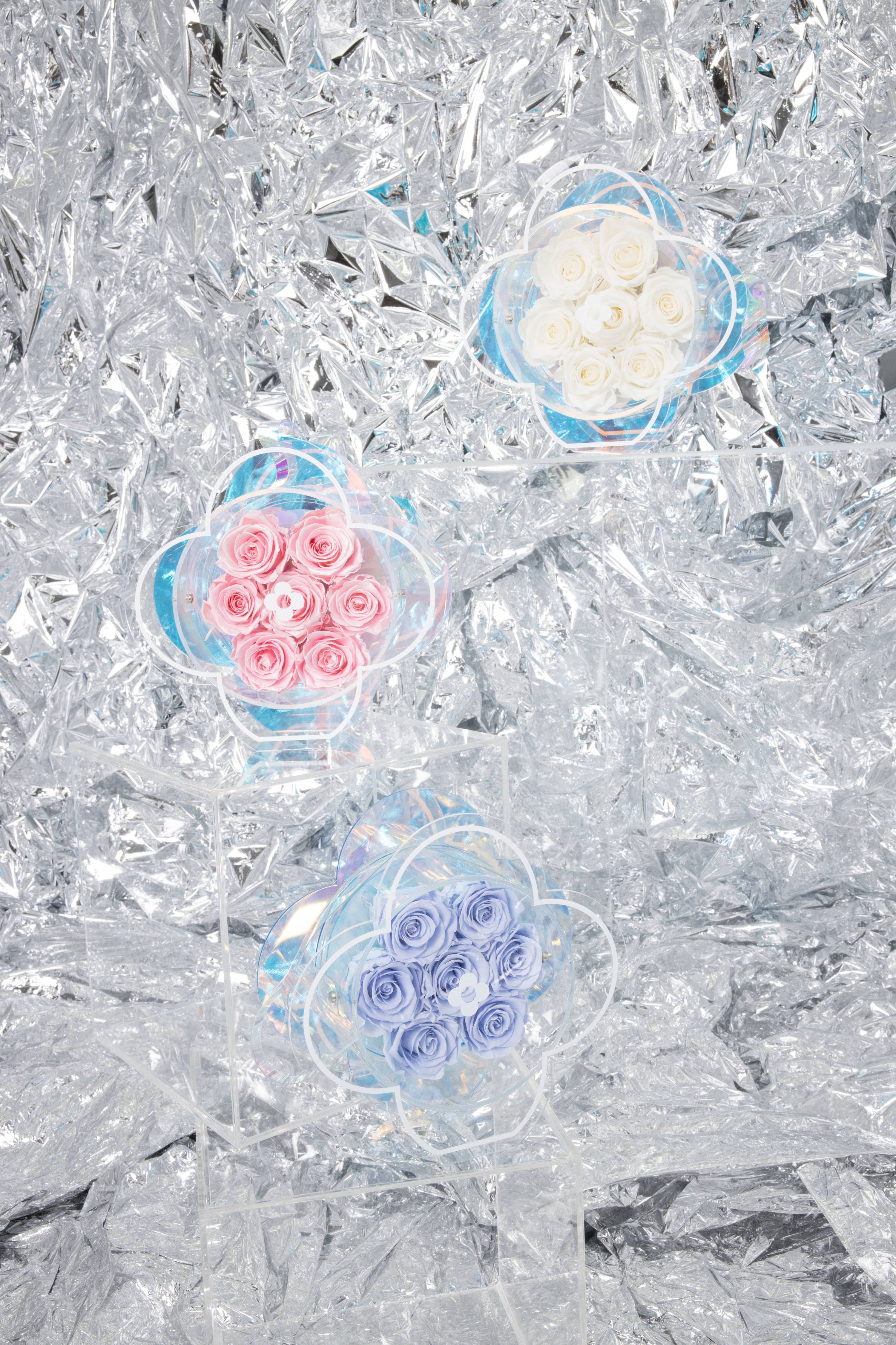 Timeless Lucky Clover