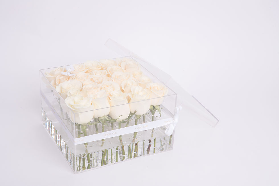 Thumbnail: Aqua Fairy Pure