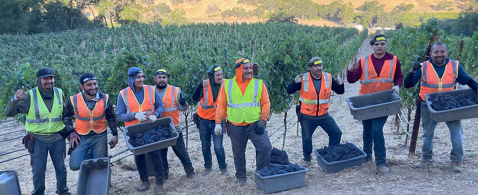 WhatsApp Image 2026-01-23 at 8.16.23 AM.jpeg