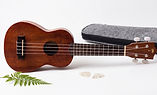 Ukelele2.jpg